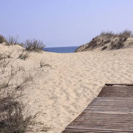 Golden Dunes *